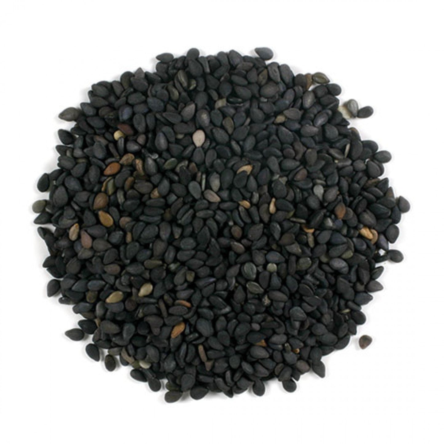 Ajonjoli Negro