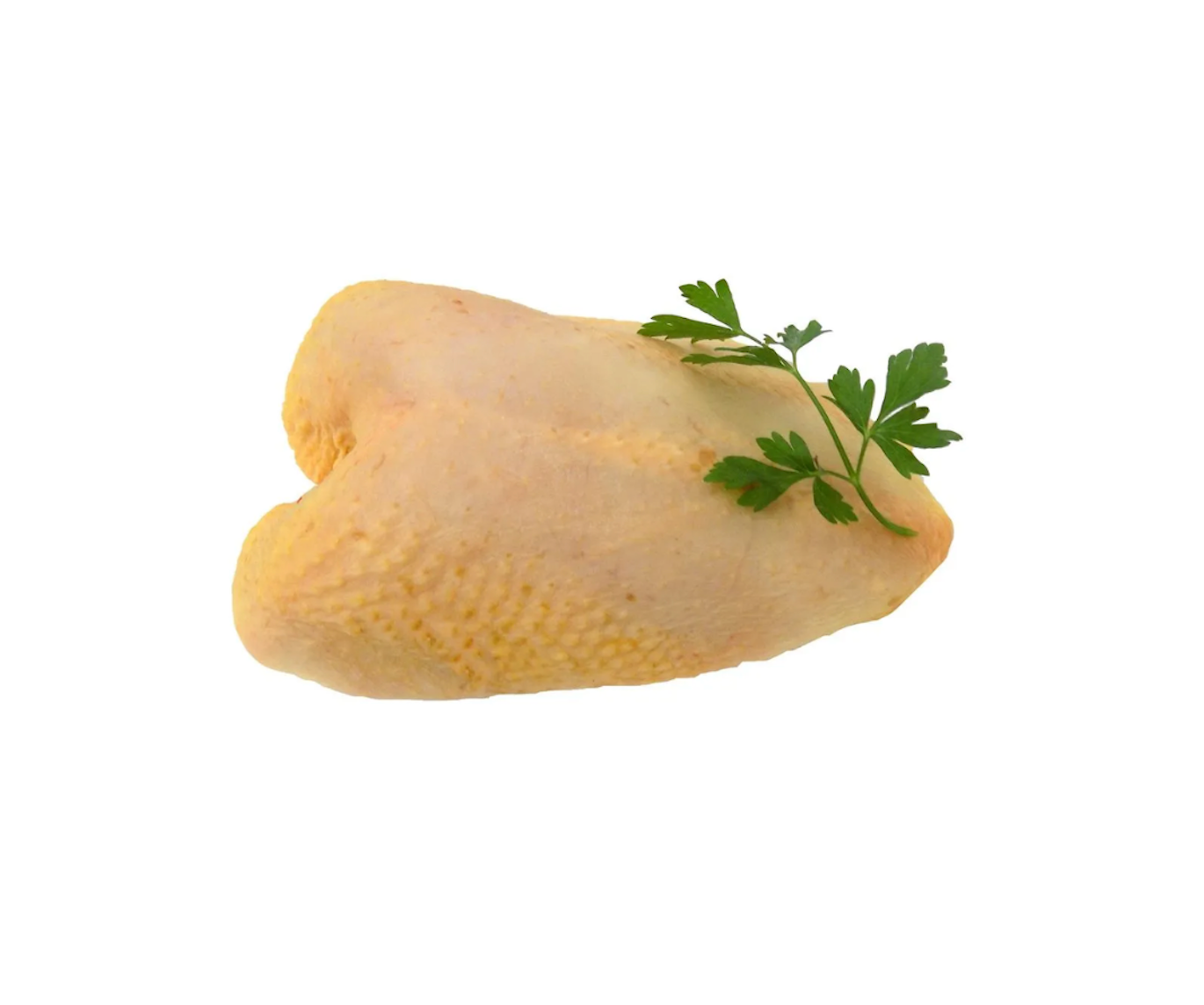 Pechuga de Pollo C/H
