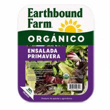 Ensalada Primavera Earthbound