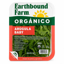 Arúgula Baby Earthbound