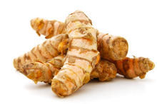 Curcuma