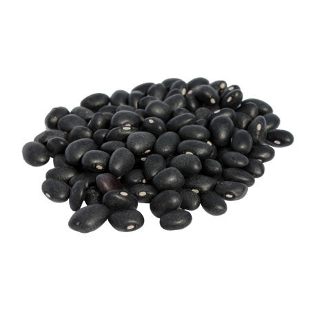 Frijol Negro