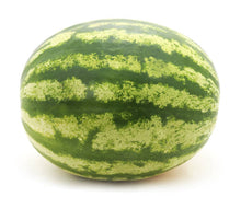 Sandia XL
